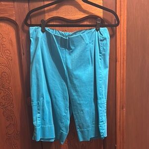 Bright Blue Casual Shorts
